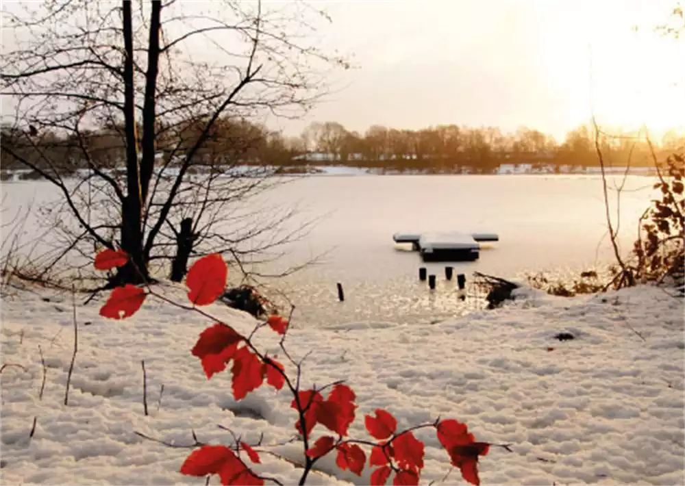 Alster-Karte Nr. 3: Weihnachtssegen Alster-Karte Nr. 3: Weihnachtssegen