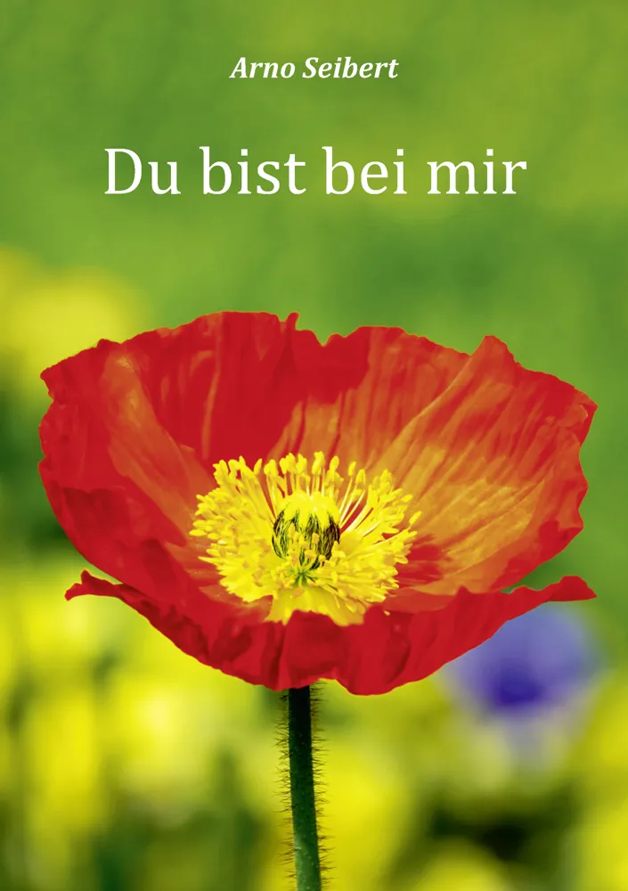 Du bist bei mir