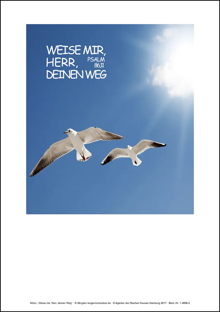 Einlegeblatt Weise mir, Herr, deinen Weg Psalm 86,11