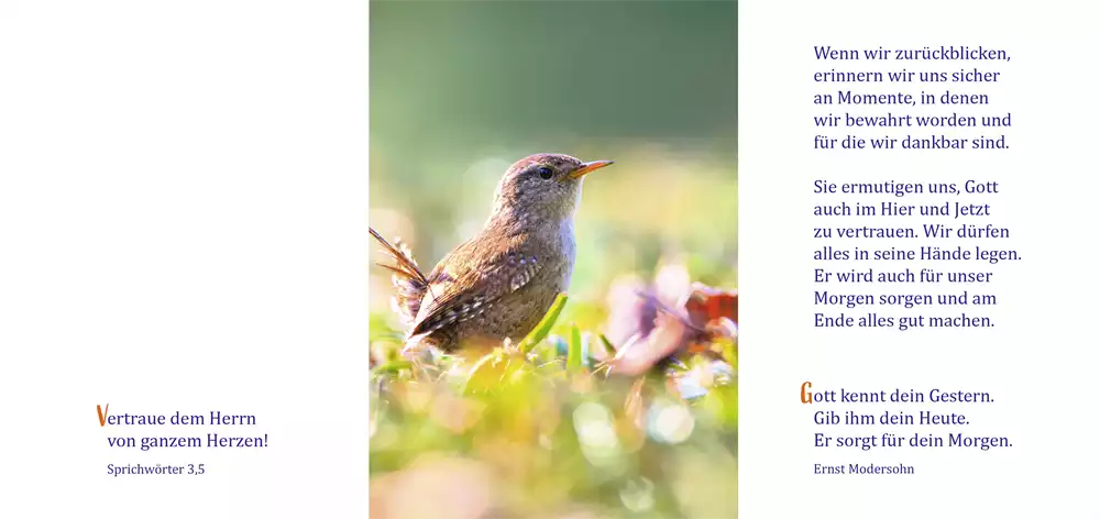 Faltkarte Herzliche Segenswünsche zum Geburtstag (10 St.)