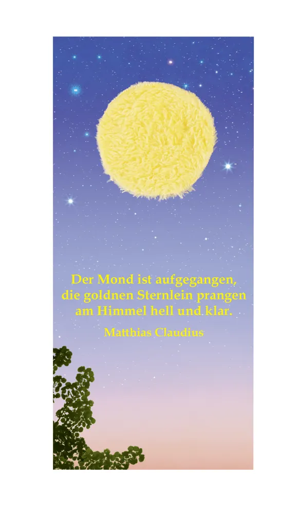 Fühlkarte "Mond"