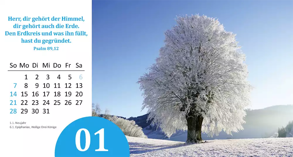 Gottes Wunder 2024