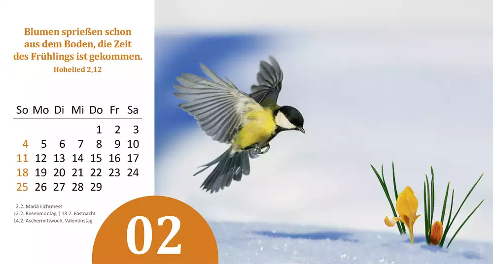 Gottes Wunder 2024