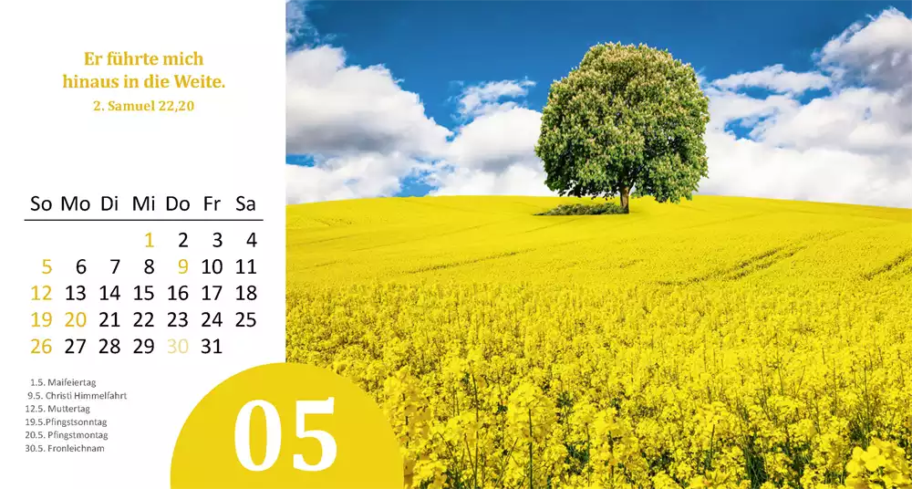 Gottes Wunder 2024
