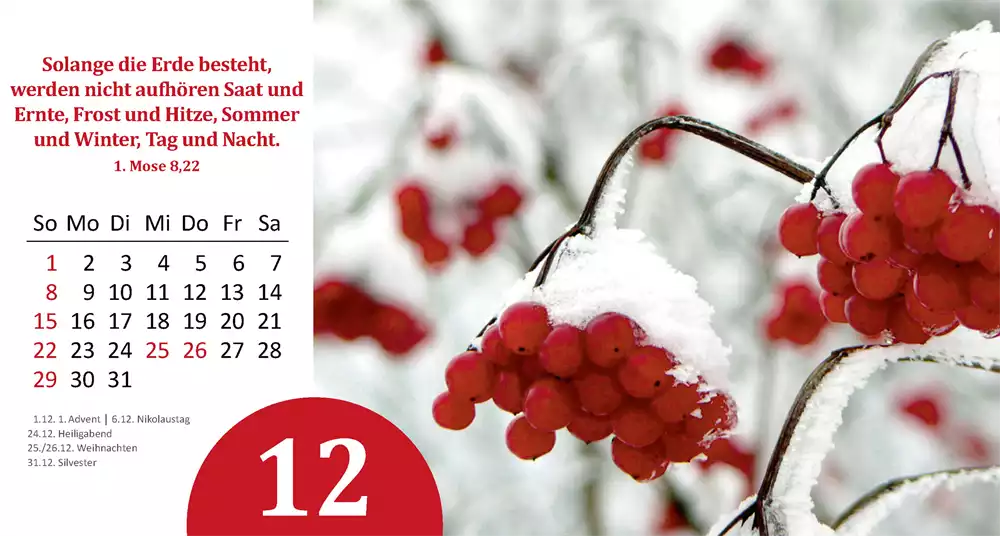 Gottes Wunder 2024