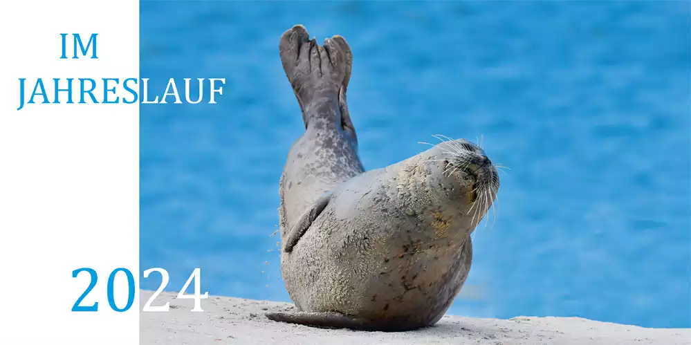 Im Jahreslauf 2024