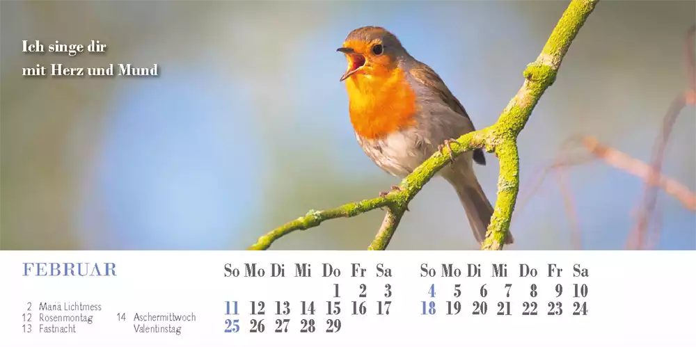 Liedkalender 2024