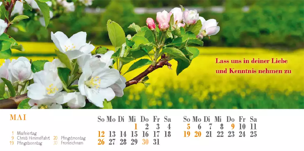 Liedkalender 2024