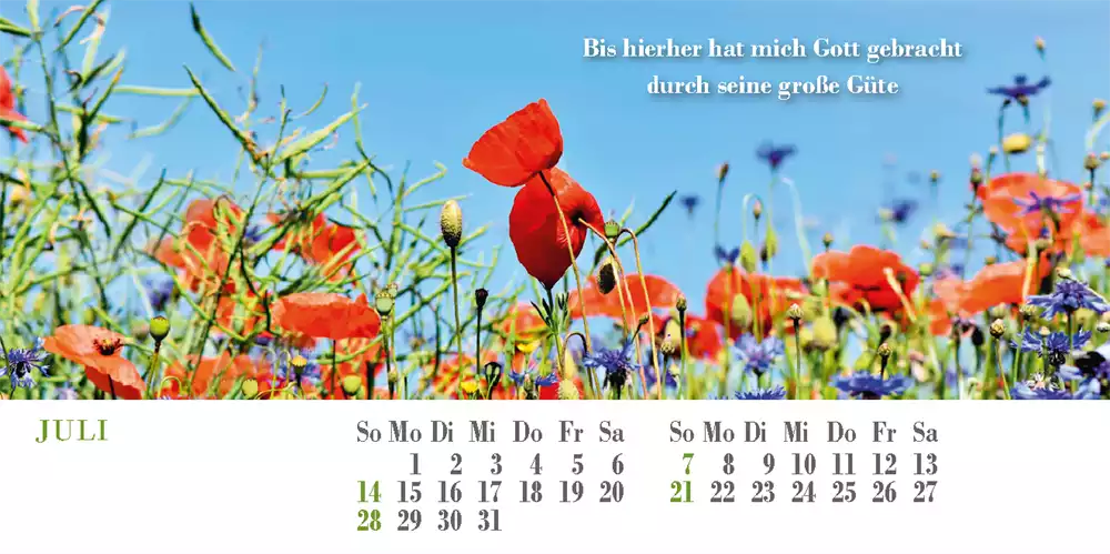 Liedkalender 2024