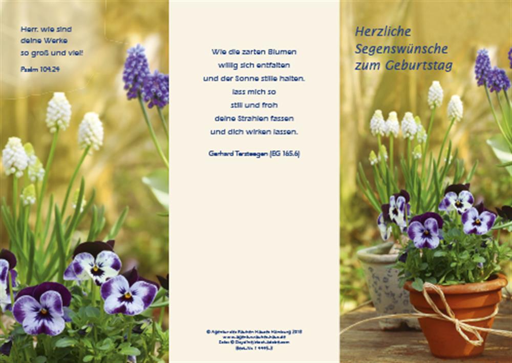 Pc Karte Herzliche Segenswunsche Zum Geburtstag 10 St Fruhlingsblumen Agentur Rauhes Haus De