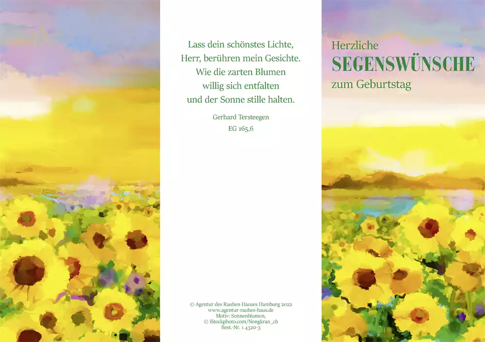 PC-Karte Herzliche Segenswünsche zum Geburtstag (10 St.), Kunst Sonnenblumen