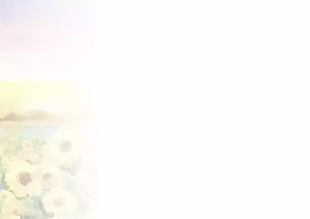 PC-Karte Herzliche Segenswünsche zum Geburtstag (10 St.), Kunst Sonnenblumen