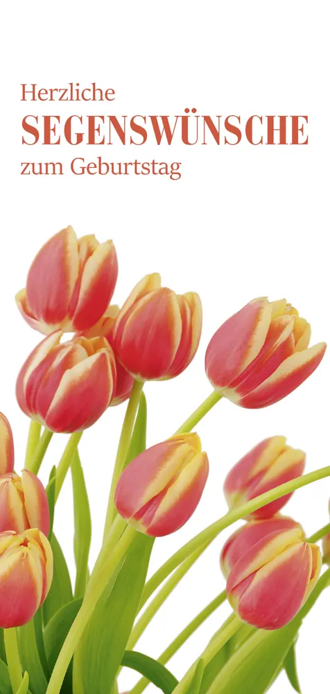 PC-Karte Herzliche Segenswünsche zum Geburtstag (10 St.), Motiv: Tulpen