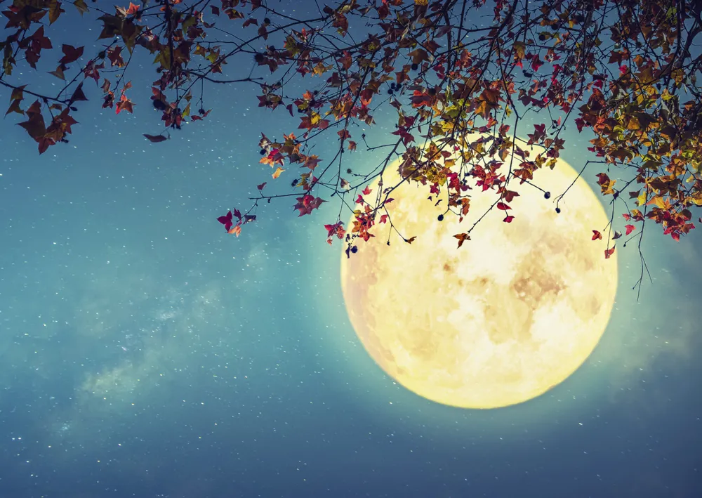 Alster-Karte Nr. 144: Mond