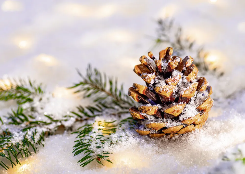 Alster-Karte Nr. 148: Weihnachtszeit