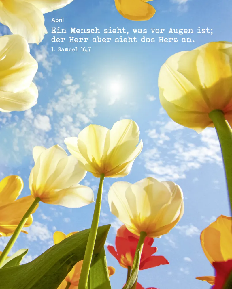 JL 2027 Postermappe Motiv: Glaube