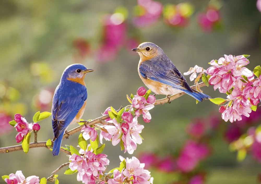 Viele Farben hat das Jahr 2027