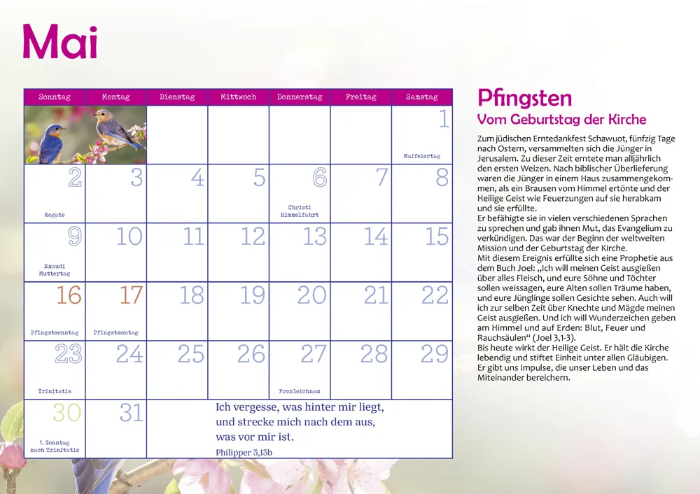 Viele Farben hat das Jahr 2027