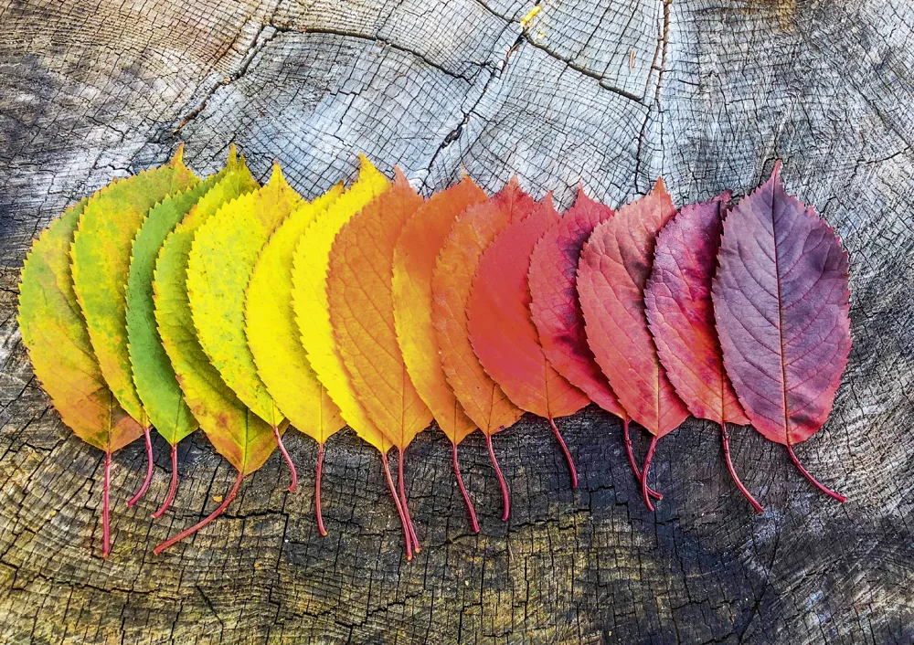 Viele Farben hat das Jahr 2027