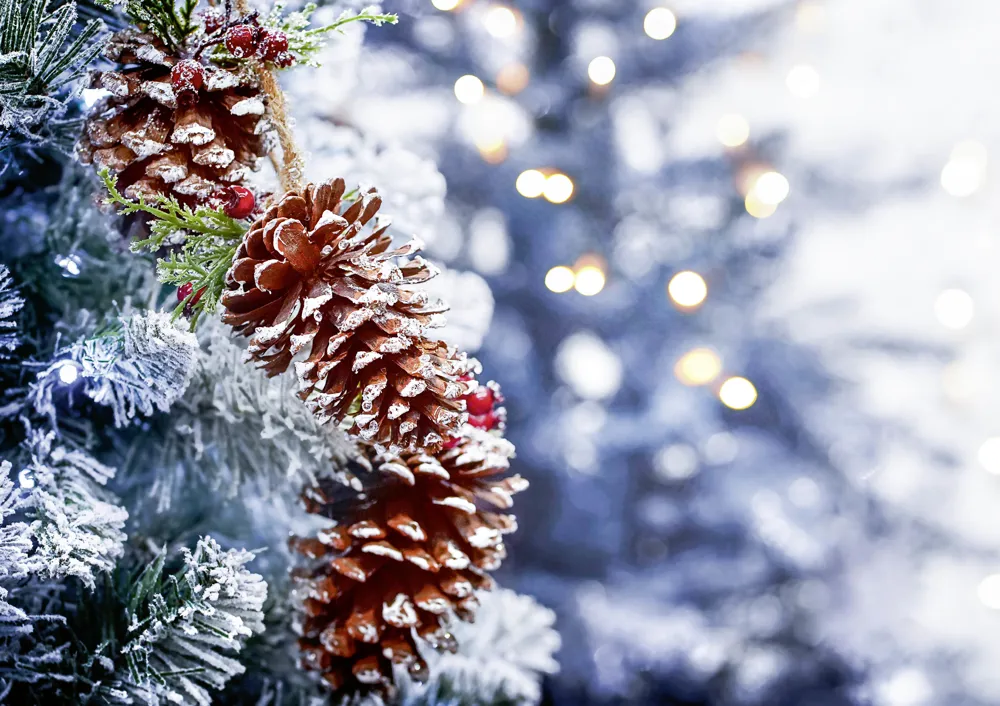 Viele Farben hat das Jahr 2027